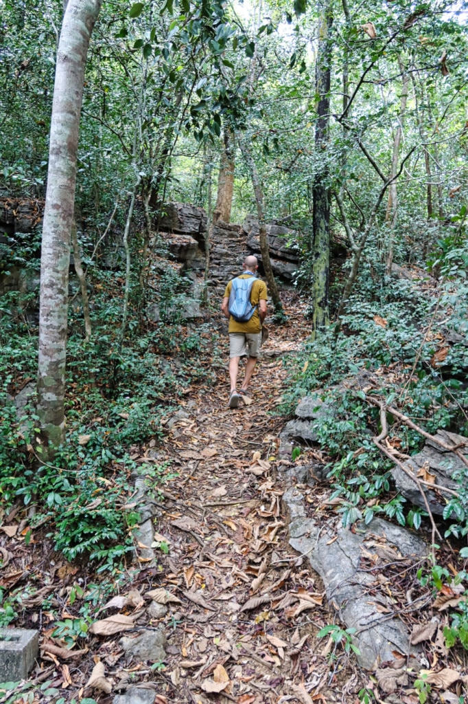 Man hiking through Tarutao National Park 