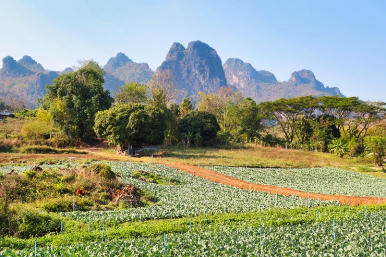 Chiang Mai Road Trip: An Epic 4-Day Itinerary