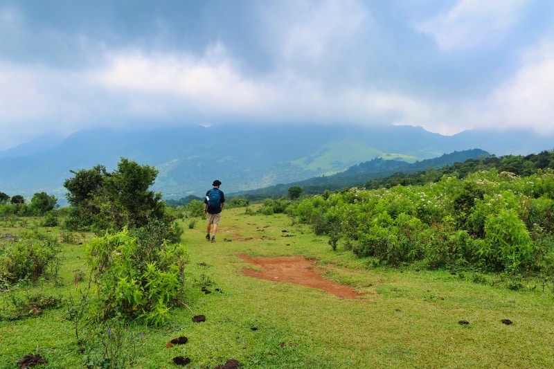 Zandy walking through a field at Mini World's End Sri Lanka, located within the Knuckles Mountain Range, Riverston. 
