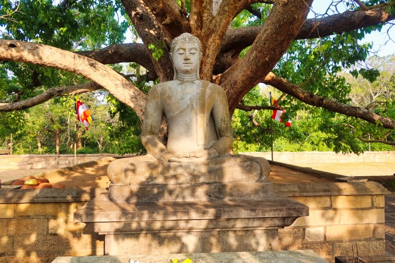 Buddha sitting under a tree in the ancient city of Anuradhapura Sri Lanka