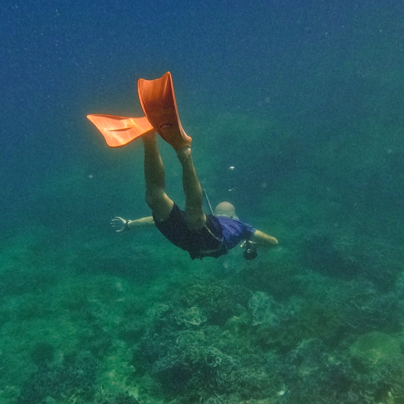 Man diving underwater. Sri Lanka Travel guide