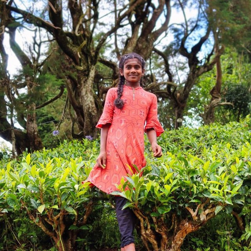 Girl Standing in Field - Things to do in Sri Lanka
