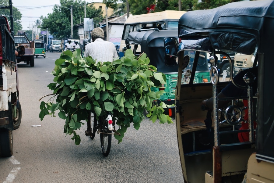 Man riding his bike through Jaffna traffic 