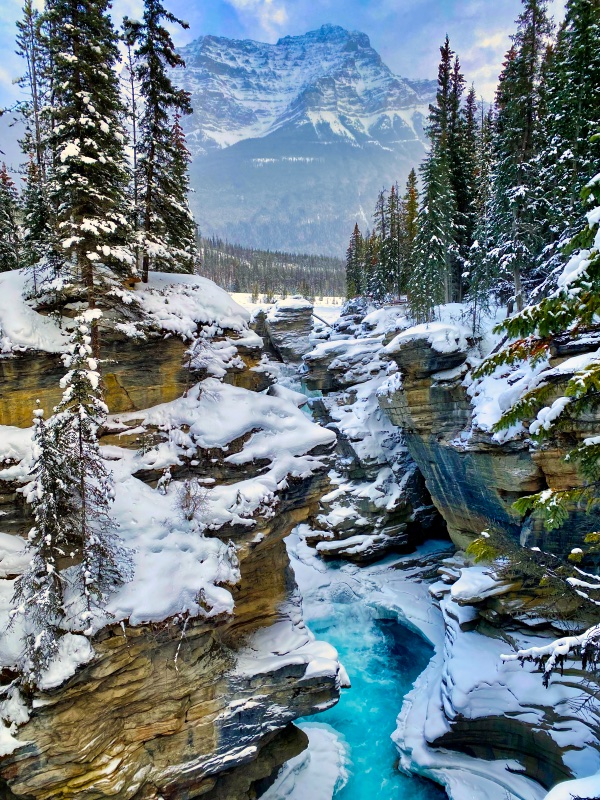 Athabasca Falls is one of the best things to do in Jasper in winter