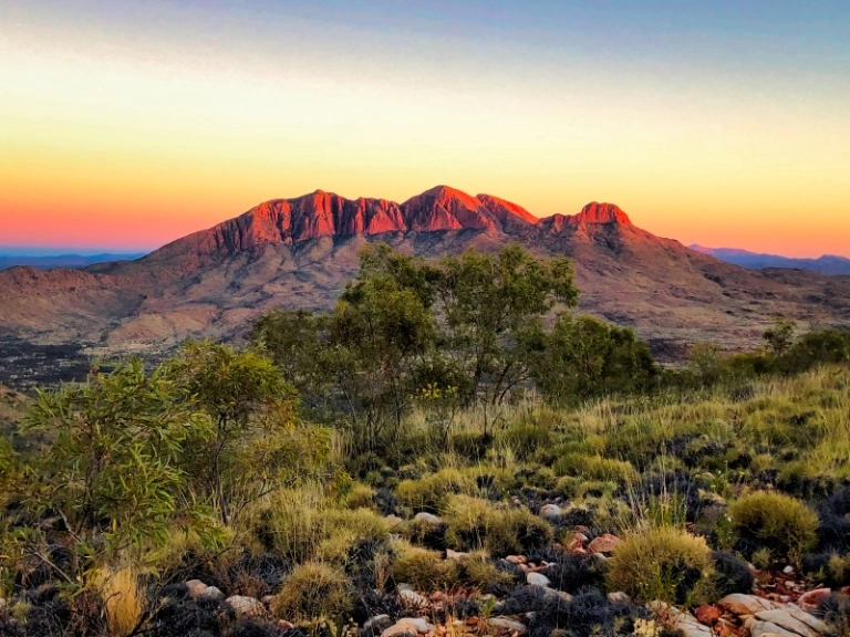The Essential Guide to Walking the Larapinta Trail (2024)