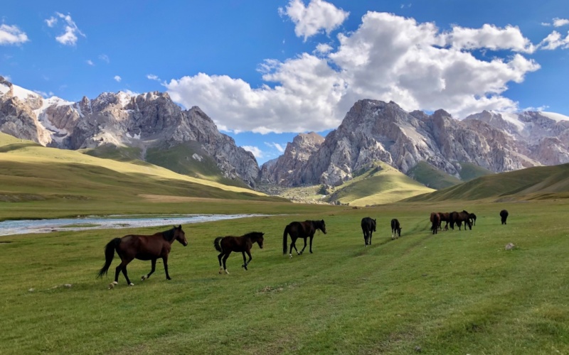 Kyrgyzstan | Travel Oasis