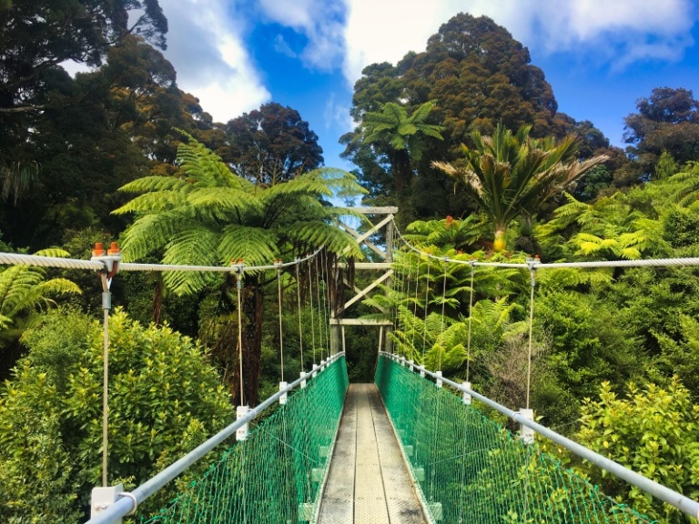 How to Conquer the Heaphy Track: The Essential 2024 Hiking Guide