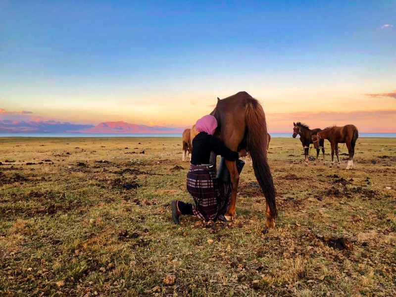 Woman milking a horse at Song Kul Lake