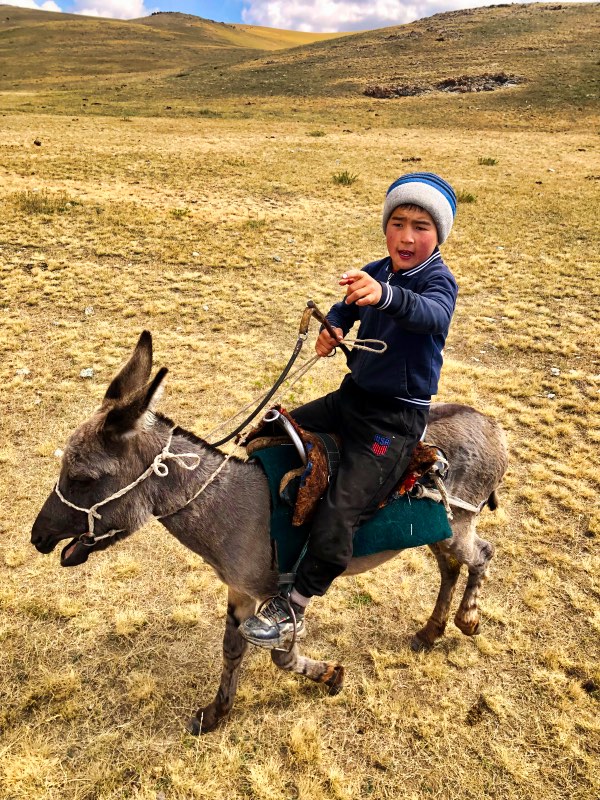 Boy riding a donkey 