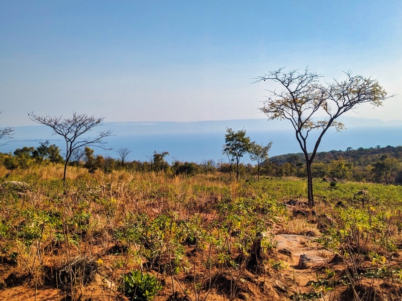 The walk from Kalambo Falls to Lake Tanganyika