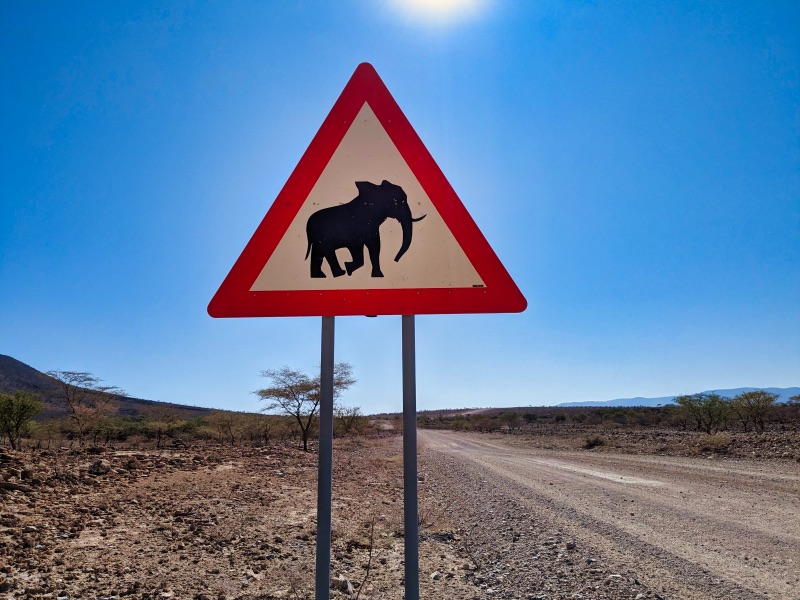 It's not uncommon for visitors of Kaokoland to spot desert elephants