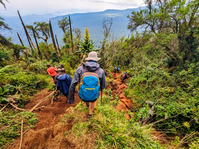 The trail down Mount Bisoke 