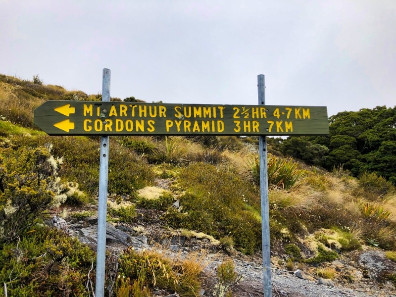 Signs leading the way to Mount Arthur Summit 
