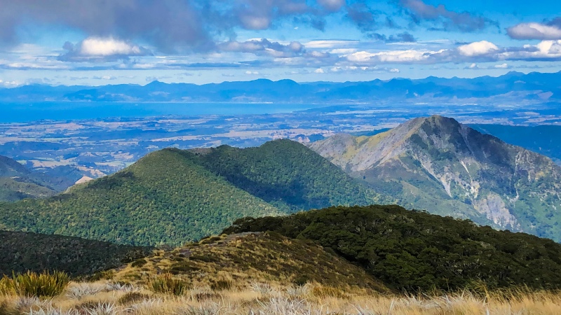 Looking out across Nelson from Mount Arthur