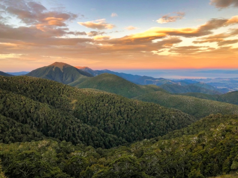 The Complete Guide to Hiking Mt Arthur (2024)