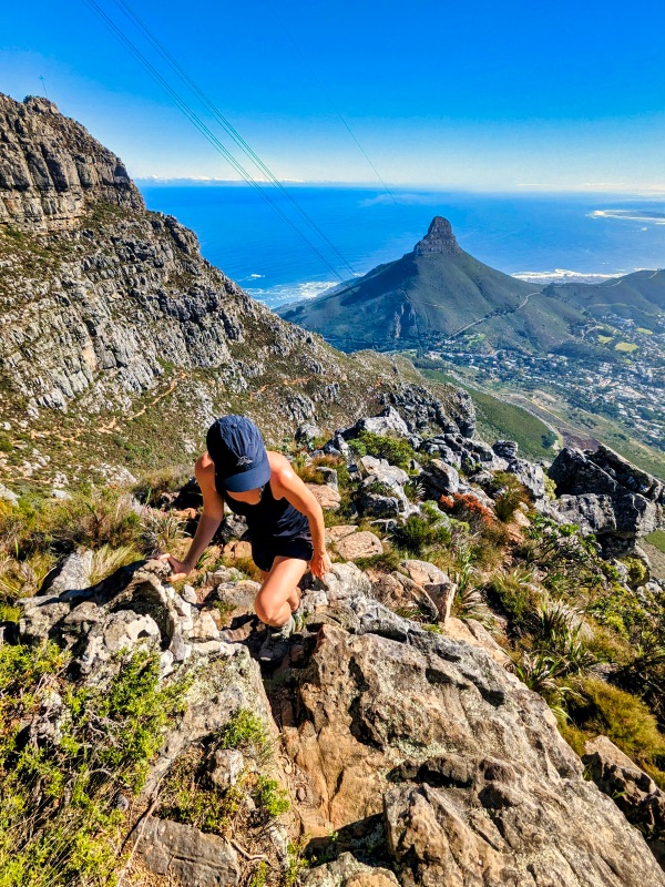 Dotti exploring the Table Mountain Hiking trails 