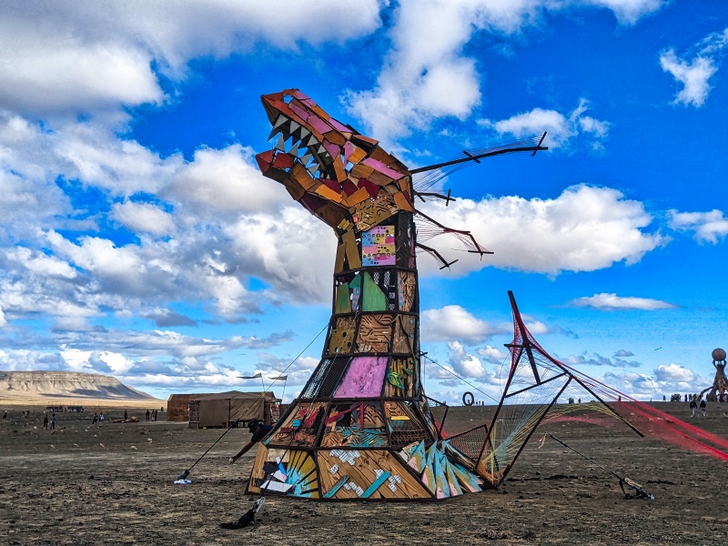 The art instillations at AfrikaBurn are out of this world!