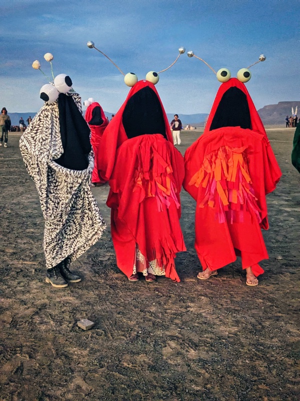 The outfits at AfrikaBurn 