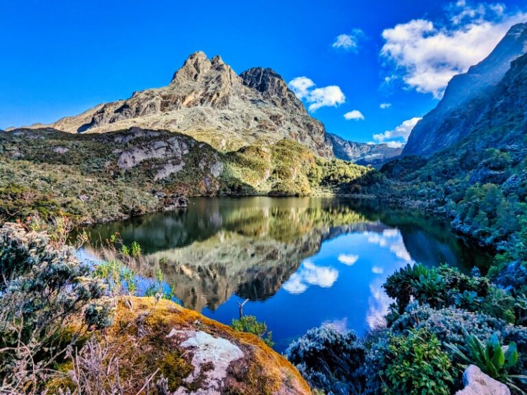 The Essential Guide to Trekking the Rwenzori Mountains (2024)