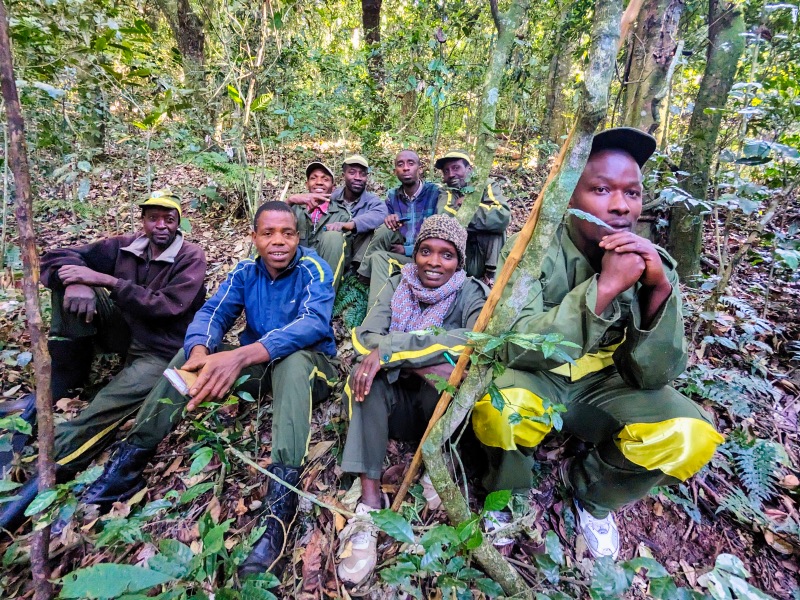 The team of rangers during our chimp trek