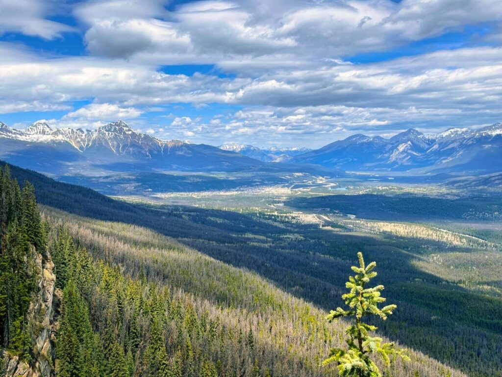 Looking out over Jasper National Park from the edge of the world viewpoint
