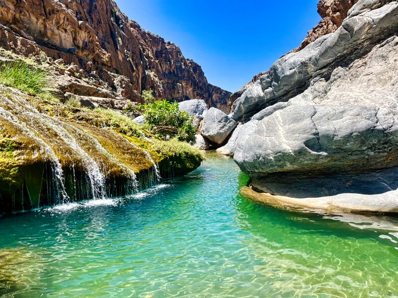 A serene natural pool surrounded by rugged rock formations and green vegetation, with clear turquoise water cascading gently over moss-covered rocks under a bright blue sky in Wadi Damm.